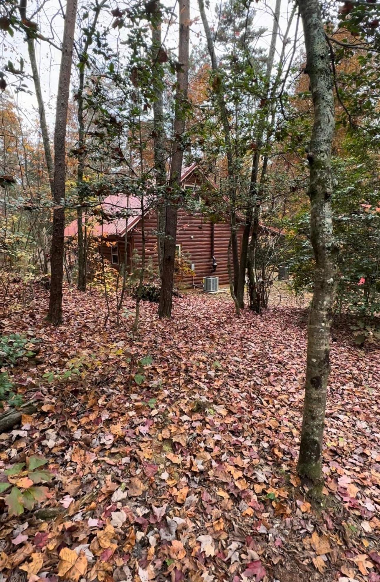 Appalachian Mountain Cabin-Updated-Private-Rafting On Ocoee River-Hiking-Waterfalls-Wifi-Pets Ok Murphy Exterior photo