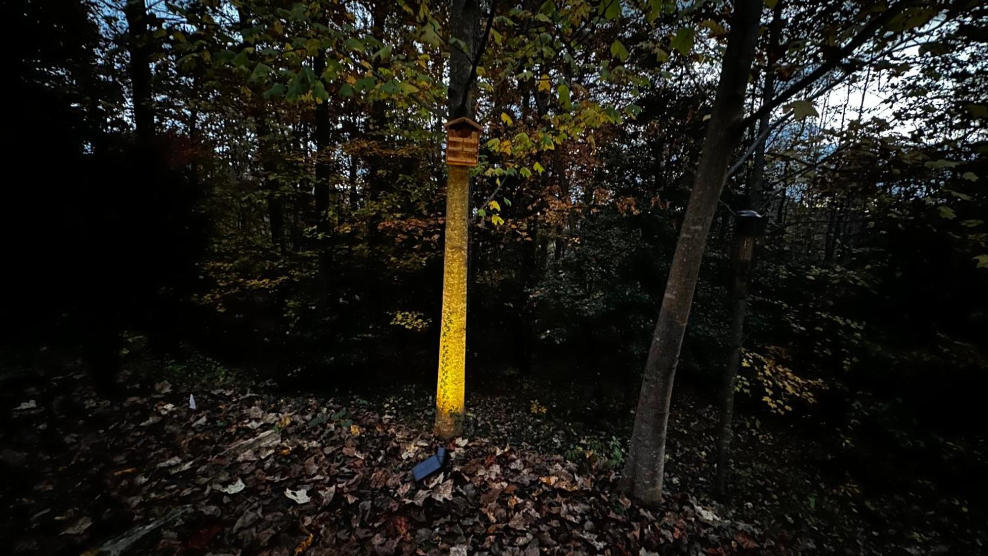 Appalachian Mountain Cabin-Updated-Private-Rafting On Ocoee River-Hiking-Waterfalls-Wifi-Pets Ok Murphy Exterior photo