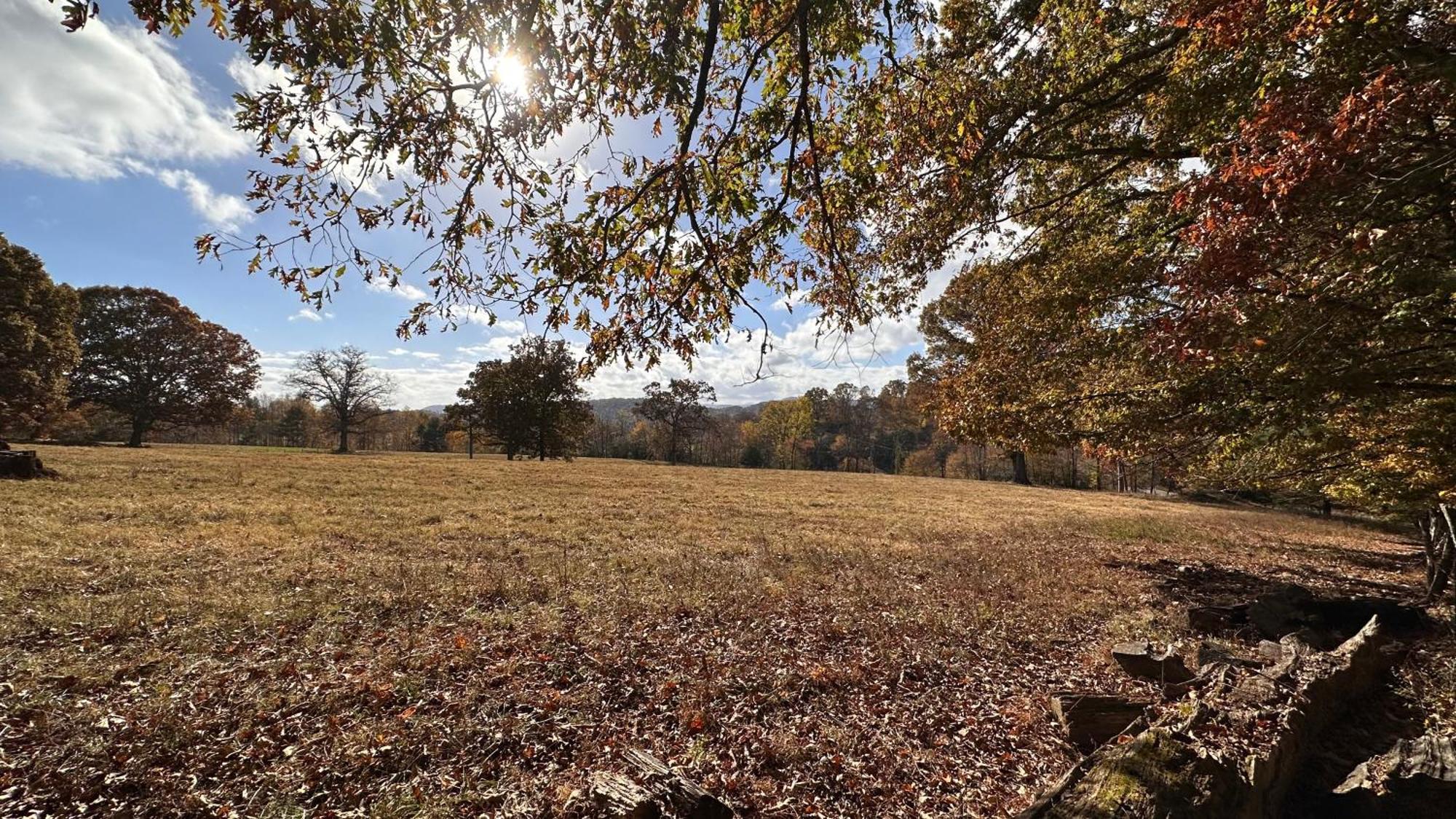 Appalachian Mountain Cabin-Updated-Private-Rafting On Ocoee River-Hiking-Waterfalls-Wifi-Pets Ok Murphy Exterior photo