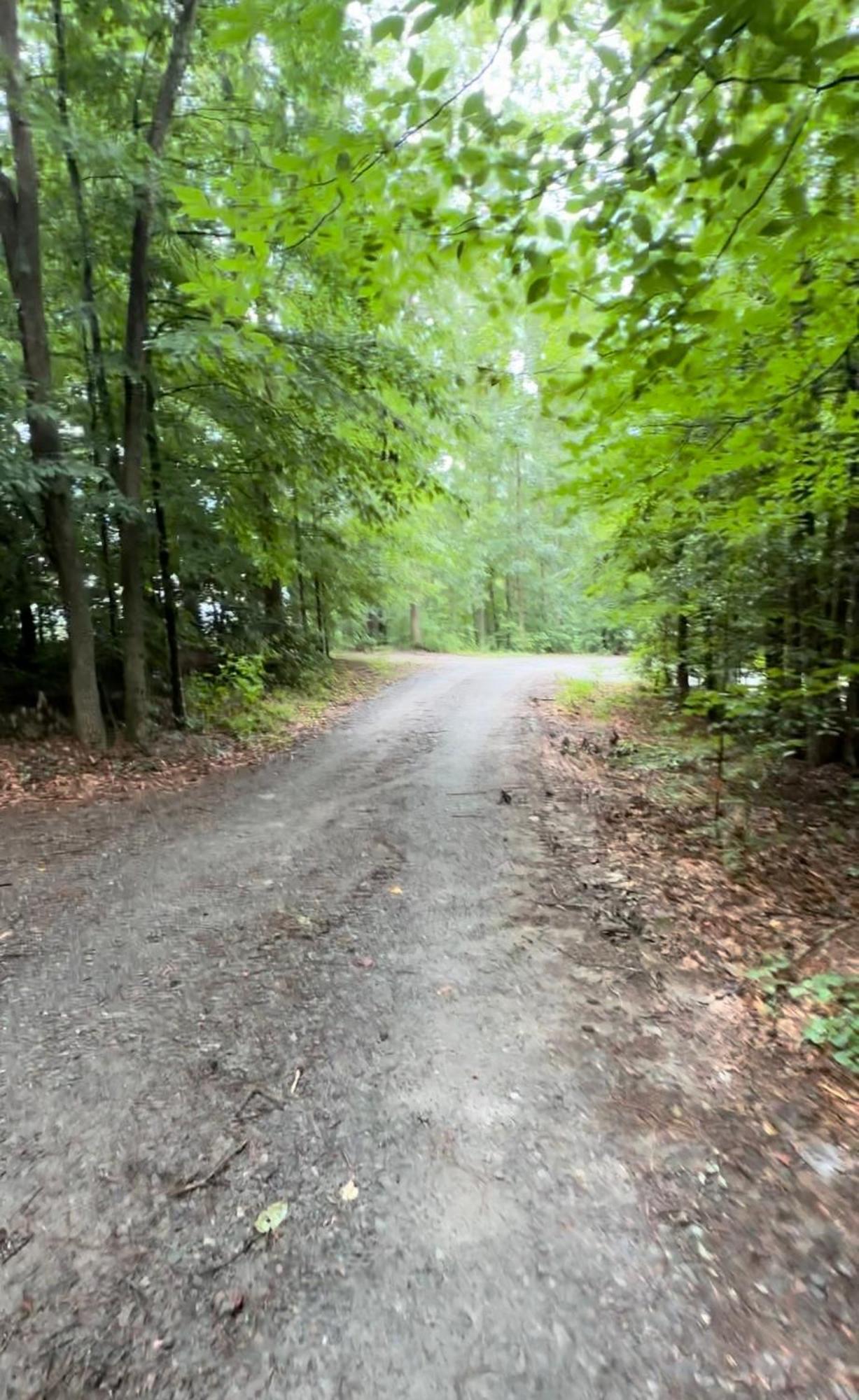 Appalachian Mountain Cabin-Updated-Private-Rafting On Ocoee River-Hiking-Waterfalls-Wifi-Pets Ok Murphy Exterior photo
